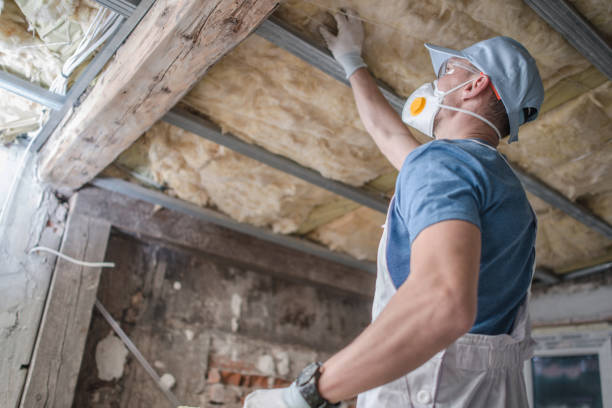 Best Eco-Friendly Insulation in Potomac Heights, MD