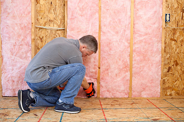 Best Geographic-Specific Insulation Services in Potomac Heights, MD